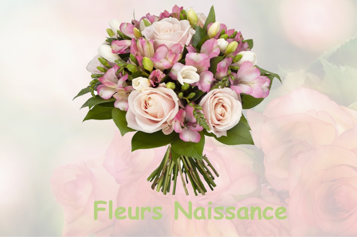 fleurs naissance MASSIGNIEU-DE-RIVES